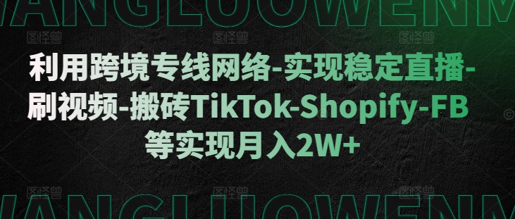 利用跨境专线网络-实现稳定直播-刷视频-搬砖TikTok-Shopify-FB等实现月入2W+【揭秘】-风淘社