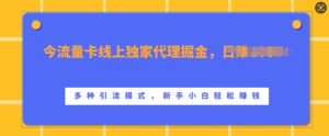 流量卡线上独家代理掘金,日入1k+ ,多种引流模式,新手小白轻松上手【揭秘】-风淘社