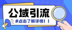 全公域平台,引流创业粉自热模版玩法,号称日引500+创业粉可矩阵操作-风淘社