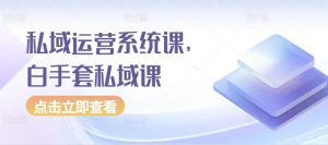 私域运营系统课,白手套私域课-风淘社