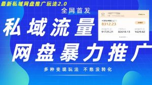 最新暴力私域网盘拉新玩法2.0,多种变现模式,并打造私域回流,轻松日入500+【揭秘】-风淘社