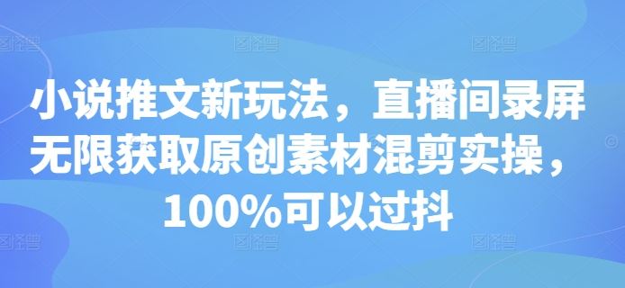 小说推文新玩法,直播间录屏无限获取原创素材混剪实操,100%可以过抖-风淘社