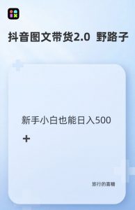 抖音图文带货野路子2.0玩法,暴力起号,单日收益多张,小白也可轻松上手【揭秘】-风淘社