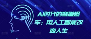AI时代的弯道超车:用人工智能改变人生-风淘社