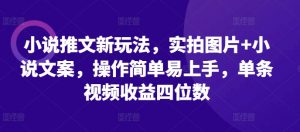 小说推文新玩法,实拍图片+小说文案,操作简单易上手,单条视频收益四位数-风淘社