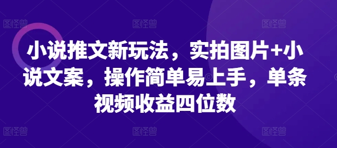 小说推文新玩法,实拍图片+小说文案,操作简单易上手,单条视频收益四位数-风淘社