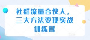 社群流量合伙人，三大方法变现实战训练营-风淘社