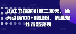 小红书独家引流三重奏,当天引流100+创业粉,流量爆炸不愁变现【揭秘】-风淘社