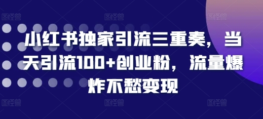 小红书独家引流三重奏,当天引流100+创业粉,流量爆炸不愁变现【揭秘】-风淘社