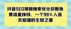 抖音SEO视频搜索优化获取免费流量挣钱,一个99%人还不知道的生财之道-风淘社