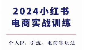 2024小红书电商3.0实战训练,包含个人IP、引流、电商等玩法-风淘社
