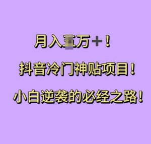 抖音冷门神贴项目，小白逆袭的必经之路，月入过W【揭秘】-风淘社