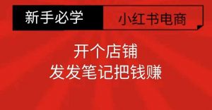 小红书零食共创【新手易上手】开个店铺，发发笔记把钱赚-风淘社