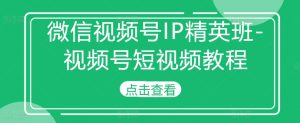 微信视频号IP精英班-视频号短视频教程-风淘社