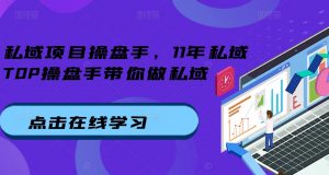 私域项目操盘手,11年私域TOP操盘手带你做私域-风淘社