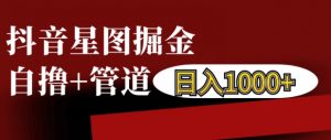 抖音星图掘金自撸，可以管道也可以自营，日入1k【揭秘】-风淘社