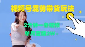 视频号混剪玩法,2分钟一条视频,单月变现2W+【揭秘】-风淘社
