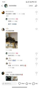 小红书私人定制图项目,附赠一单4W渠道【揭秘】-风淘社