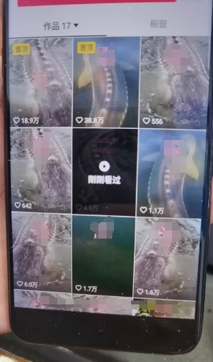 外面卖399的国学佛像原创暴力起号技术,快速起号,7天可达到一个万粉号-风淘社