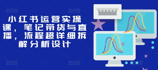 小红书运营实操课,笔记带货与直播,流程超详细拆解分析设计-风淘社