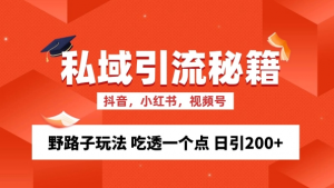 私域流量的精准化获客方法 野路子玩法 吃透一个点 日引200+ 【揭秘】-风淘社