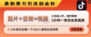 抖音最新暴力引流创业粉，3分钟一条创业类视频，24h轻松加爆一个500人精准创业粉群【揭秘】-风淘社