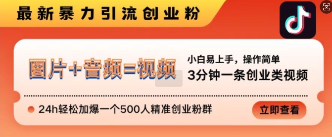 抖音最新暴力引流创业粉，3分钟一条创业类视频，24h轻松加爆一个500人精准创业粉群【揭秘】-风淘社