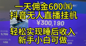 2024年11月抖音无人直播带货挂JI,小白的梦想之路,全天24小时收益不间断实现真正管道收益【揭秘】-风淘社