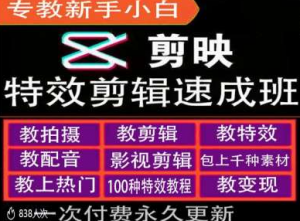 剪映特效教程和运营变现教程，特效剪辑速成班，专教新手小白-风淘社