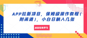 APP拉新项目，保姆级操作教程(附渠道)，小白日躺入几张【揭秘】-风淘社