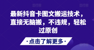 最新抖音卡图文搬运技术，直接无脑搬，不违规，轻松过原创-风淘社