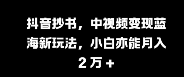 抖音抄书,中视频变现蓝海新玩法,小白亦能月入 过W【揭秘】-风淘社