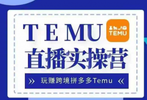 Temu直播实战营，玩赚跨境拼多多Temu，国内电商卷就出海赚美金-风淘社