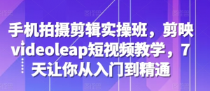 手机拍摄剪辑实操班,剪映videoleap短视频教学,7天让你从入门到精通-风淘社