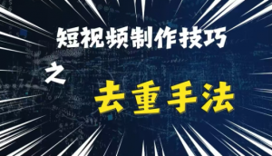 最新短视频搬运,纯手工去重,二创剪辑方法【揭秘】-风淘社