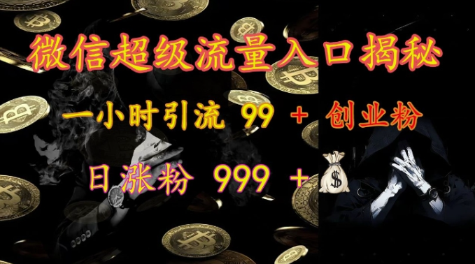 微信超级流量入口揭秘:一小时引流 99 + 创业粉,日涨粉 999 +-风淘社