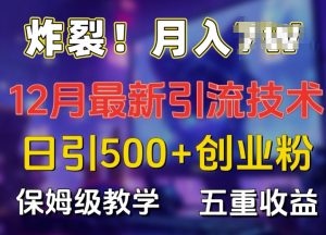 炸裂!揭秘12月最新日引流500+精准创业粉,多重收益保姆级教学-风淘社