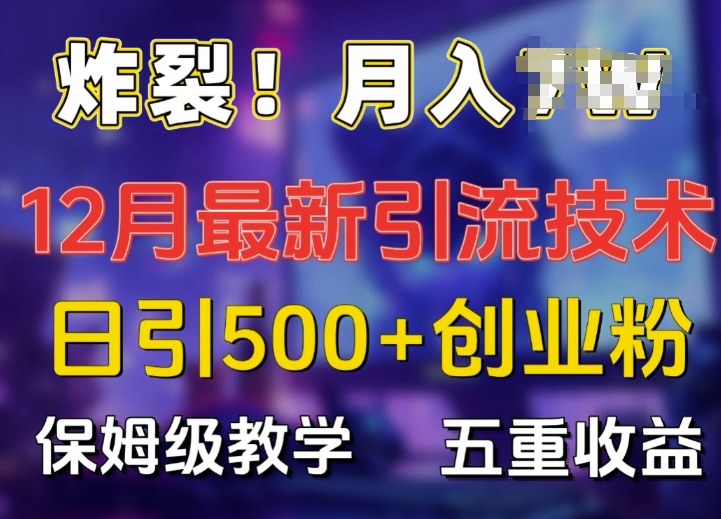 炸裂!揭秘12月最新日引流500+精准创业粉,多重收益保姆级教学-风淘社