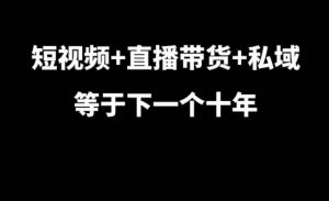 短视频+直播带货+私域等于下一个十年,大佬7年实战经验总结-风淘社