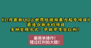 12月最新QQ小世界短视频暴力起号项目,最适合新手的项目,多种变现方式-风淘社