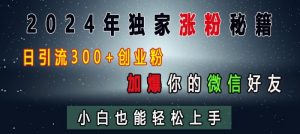 2024年独家涨粉秘籍,日引流300+创业粉,加爆你的微信好友,小白也能轻松上手-风淘社