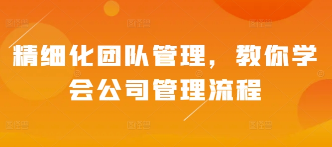 精细化团队管理,教你学会公司管理流程-风淘社