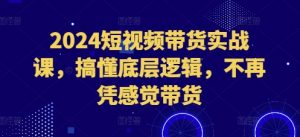 2024短视频带货实战课,搞懂底层逻辑,不再凭感觉带货-风淘社