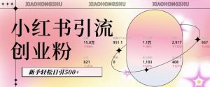 小红书私域引流无脑操作法：AI生成内容，粉丝自动转化，新手轻松日引500+创业粉-风淘社