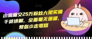 小说推文25万粉丝大佬实操干货讲解，全面毫无保留，帮你少走弯路-风淘社