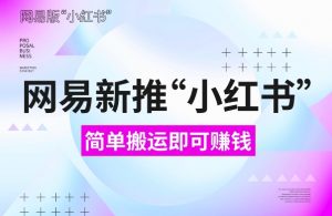 网易官方新推“小红书”,搬运即有收益,新手小白千万别错过(附详细教程)【揭秘】-风淘社