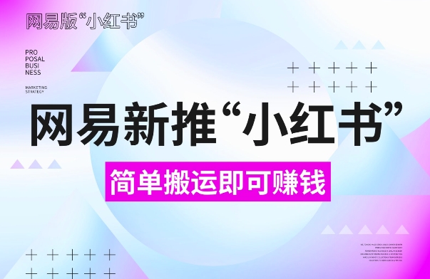 网易官方新推“小红书”,搬运即有收益,新手小白千万别错过(附详细教程)【揭秘】-风淘社