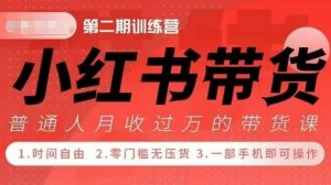 小Red书带货42天训练营 2.0版,宝妈+自由职+上班族+大学生,提高副业收入的大红利项目-风淘社