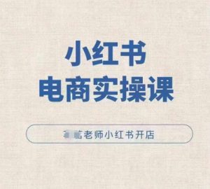 小红薯电商实操课,小红书开店实操必学课-风淘社