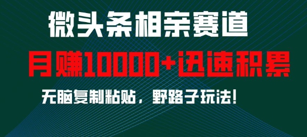 微头条相亲赛道,迅速积累,无脑复制粘贴,野路子玩法,月入1w-风淘社